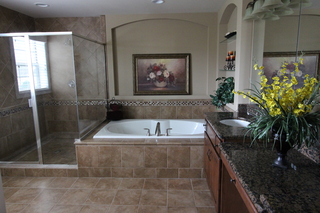 26508 Silverleaf Dr, Plainfield, IL 60585 photo 7