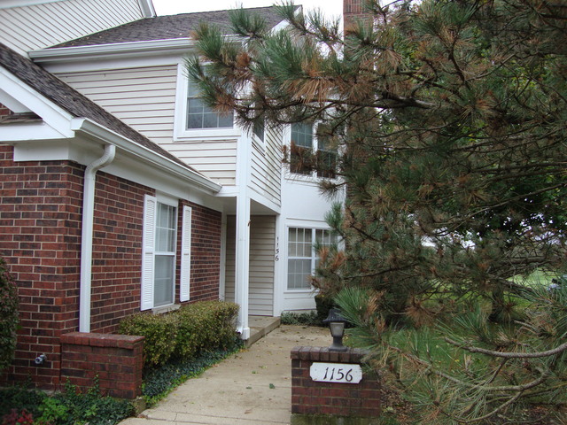 1156 Saint Andrews Ct, Algonquin, IL 60102 photo 2