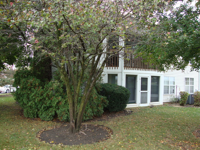 1156 Saint Andrews Ct, Algonquin, IL 60102 photo 17