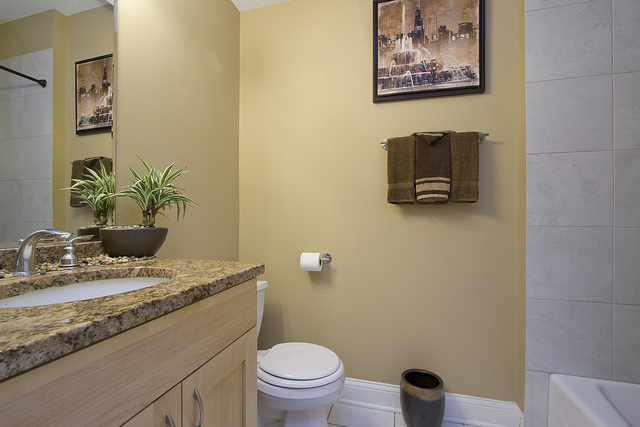 33 E 26th St #1, Chicago, IL 60616 photo 6