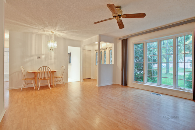 217 E Wayne Pl, Wheeling, IL 60090 photo 6