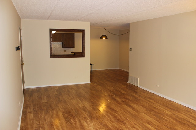 5 S100 Pebblewood Ln #D8, Naperville, IL 60563 photo 4