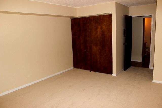 5 S100 Pebblewood Ln #D8, Naperville, IL 60563 photo 10