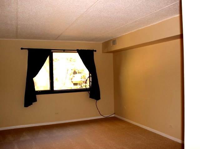 5 S100 Pebblewood Ln #D8, Naperville, IL 60563 photo 9
