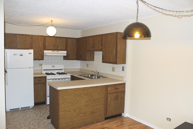 5 S100 Pebblewood Ln #D8, Naperville, IL 60563 photo 6