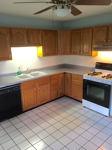 2209 Kirchoff Rd, Rolling Meadows, IL 60008 photo 2