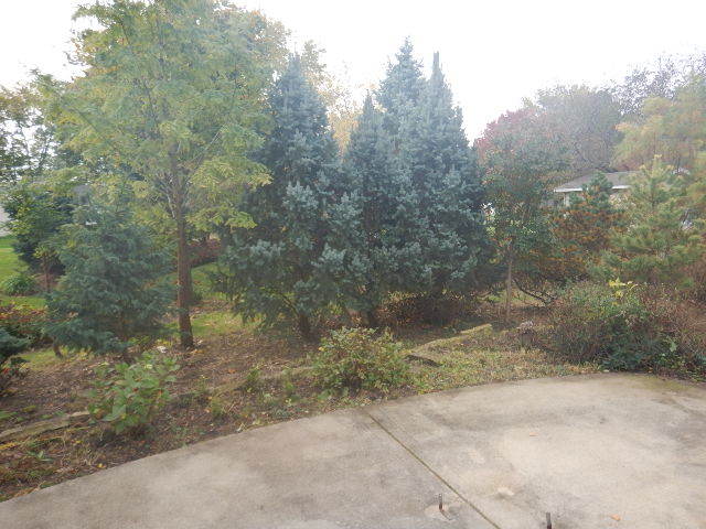 4304 Glenlo Dr, Plainfield, IL 60586 photo 3