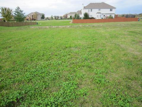 25507 Rock Dr, Plainfield, IL 60586 photo 1