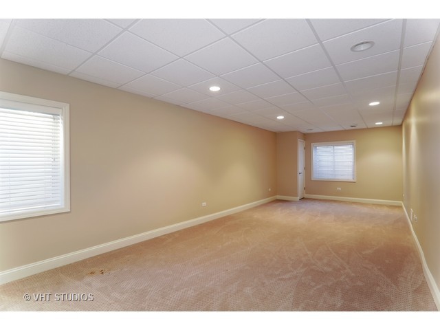 12909 Alpine Way, Plainfield, IL 60585 photo 23