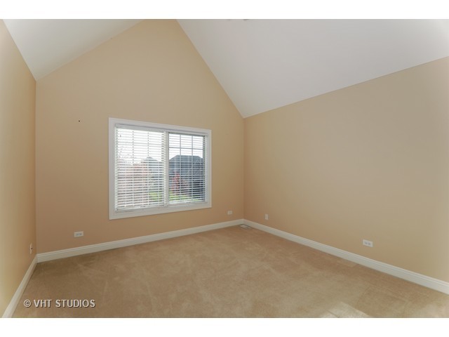 12909 Alpine Way, Plainfield, IL 60585 photo 16