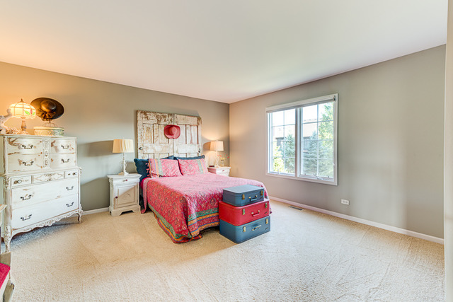 3836 Grassmere Rd, Naperville, IL 60564 photo 18