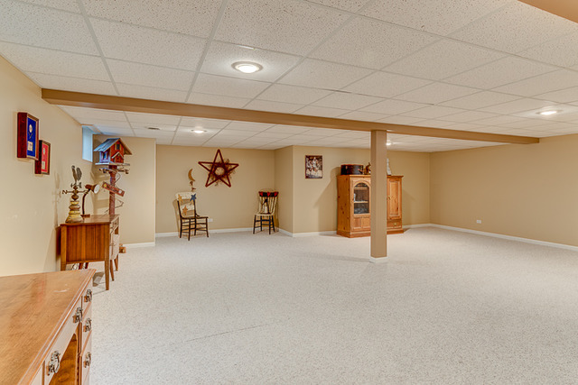 3836 Grassmere Rd, Naperville, IL 60564 photo 24
