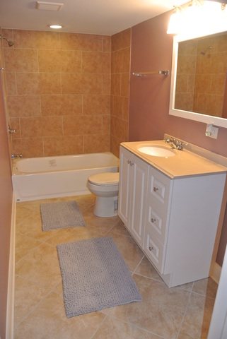 4174 W 78th St, Chicago, IL 60652 photo 20