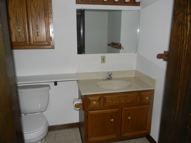 16259 S Peerless Dr, Plainfield, IL 60586 photo 15