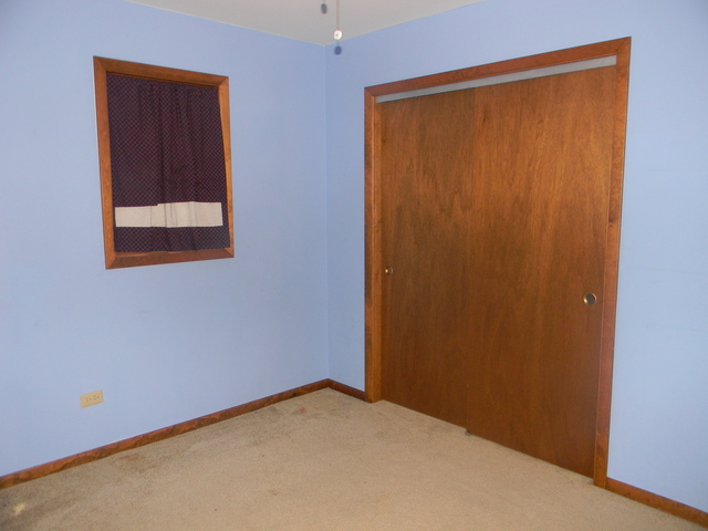 16259 S Peerless Dr, Plainfield, IL 60586 photo 11
