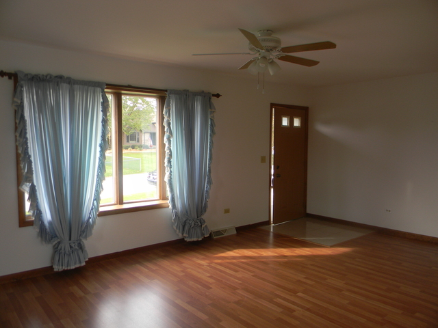16259 S Peerless Dr, Plainfield, IL 60586 photo 4
