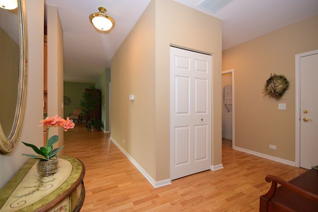 267 E Railroad Ave #202, Bartlett, IL 60103 photo 3