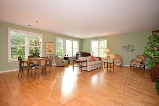 267 E Railroad Ave #202, Bartlett, IL 60103 photo 4