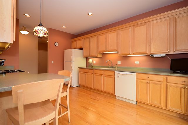 267 E Railroad Ave #202, Bartlett, IL 60103 photo 12