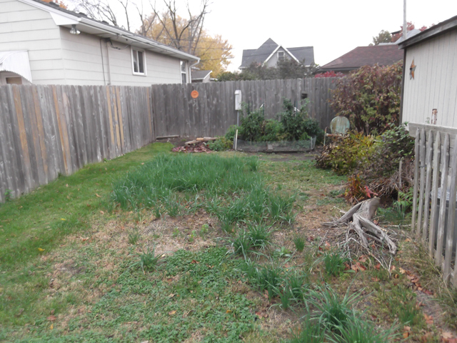 1320 West St, Peru, IL 61354 photo 13