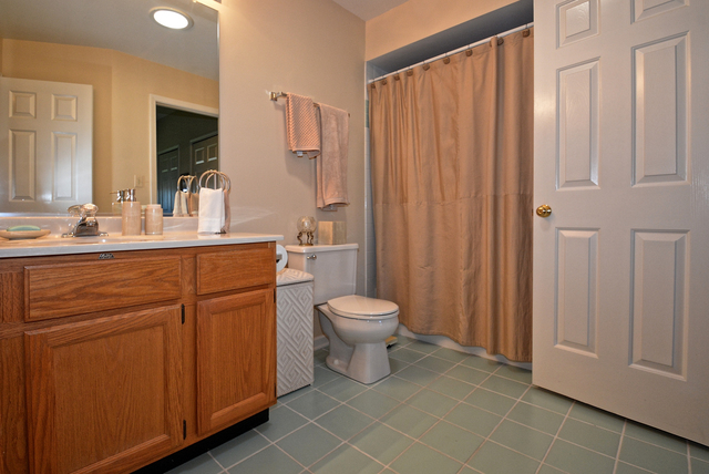 10508 Willow Ave, Mokena, IL 60448 photo 17