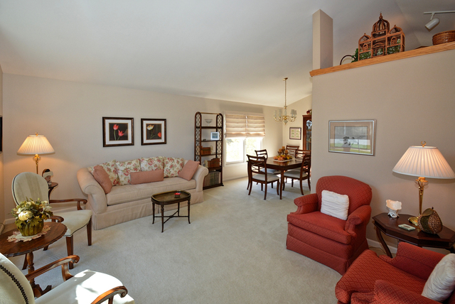 10508 Willow Ave, Mokena, IL 60448 photo 4