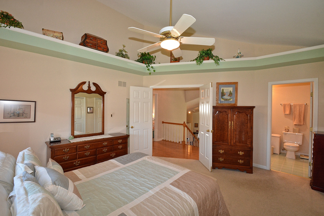 10508 Willow Ave, Mokena, IL 60448 photo 16