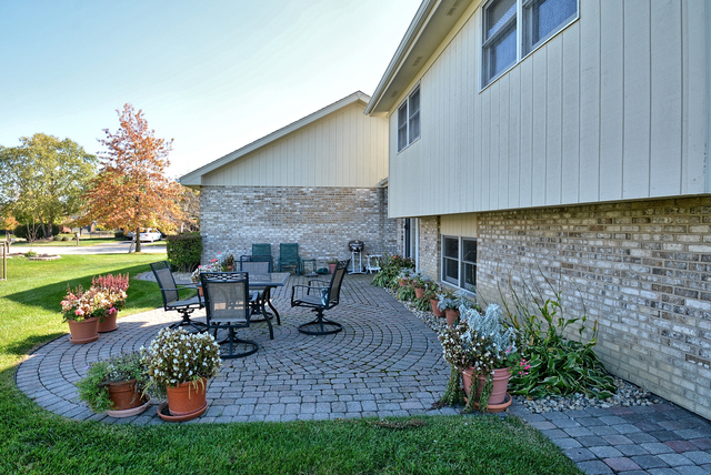 10508 Willow Ave, Mokena, IL 60448 photo 24