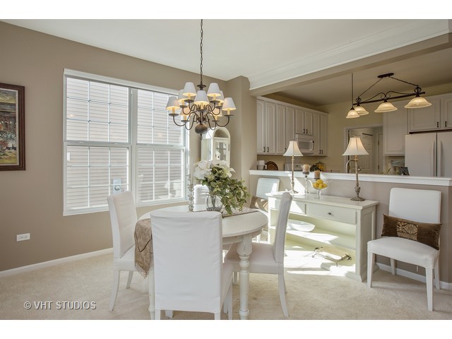 2481 Rolling Ridge Ln, Elgin, IL 60124 photo 5