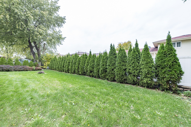 1250 W Meyer Dr, Addison, IL 60101 photo 17