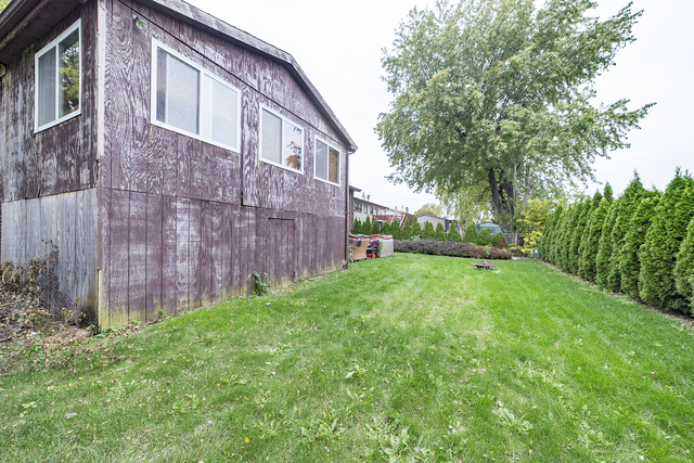 1250 W Meyer Dr, Addison, IL 60101 photo 16