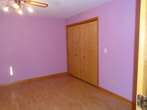755 N 39th Rd, Triumph, IL 61371 photo 7