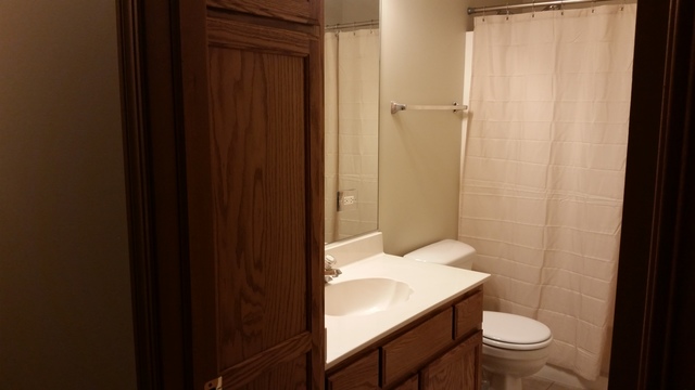 4716 Bluejay Ln, Plainfield, IL 60586 photo 9