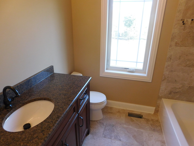 16103 S Gamay St, Plainfield, IL 60586 photo 18