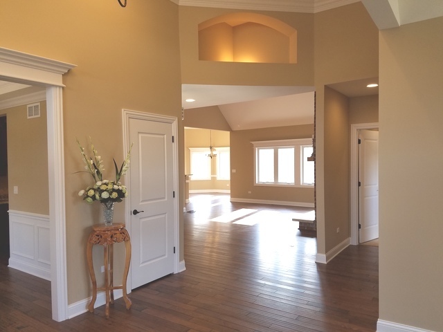 16103 S Gamay St, Plainfield, IL 60586 photo 8