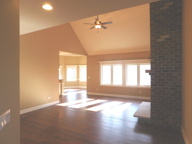 16103 S Gamay St, Plainfield, IL 60586 photo 9