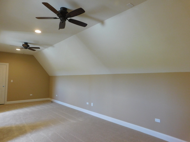 16103 S Gamay St, Plainfield, IL 60586 photo 21