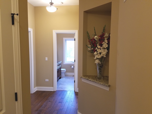 16103 S Gamay St, Plainfield, IL 60586 photo 16