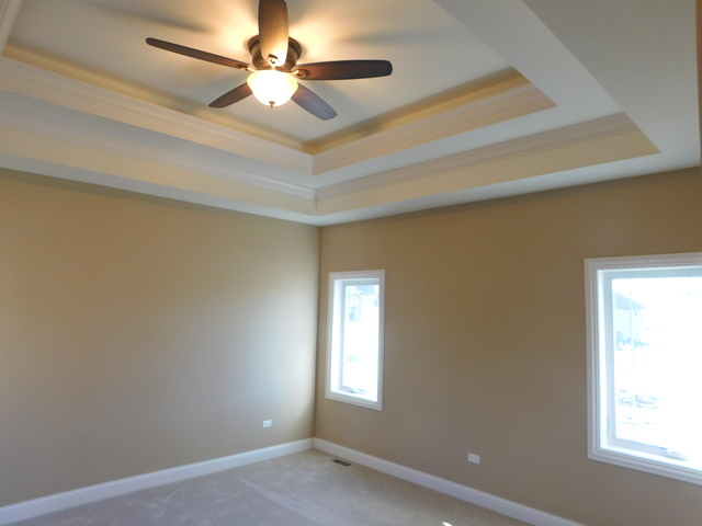 16103 S Gamay St, Plainfield, IL 60586 photo 14