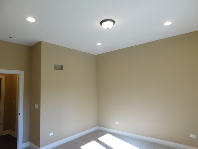 16103 S Gamay St, Plainfield, IL 60586 photo 17