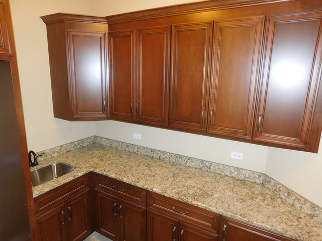 16103 S Gamay St, Plainfield, IL 60586 photo 20