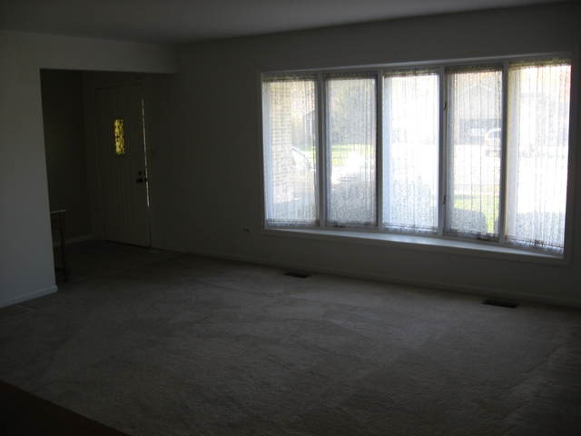 16537 Spangler Rd, Plainfield, IL 60586 photo 3