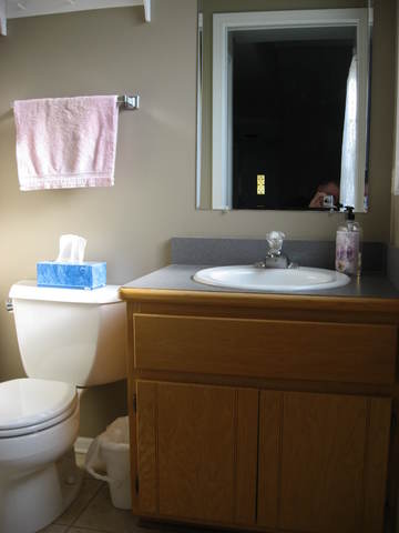 16537 Spangler Rd, Plainfield, IL 60586 photo 8