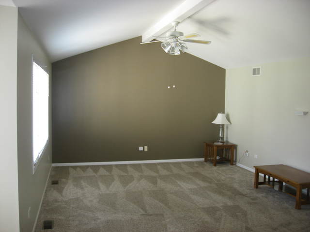 16537 Spangler Rd, Plainfield, IL 60586 photo 10