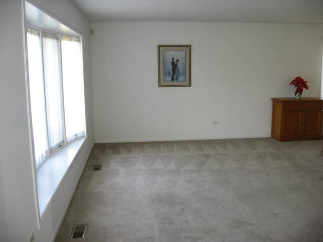 16537 Spangler Rd, Plainfield, IL 60586 photo 4