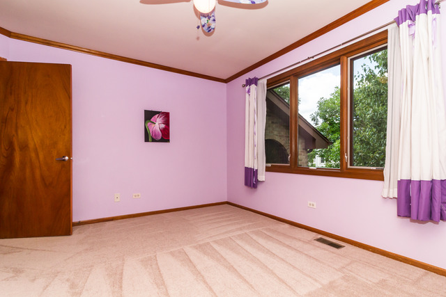 10408 Oconnell Ave, Mokena, IL 60448 photo 20