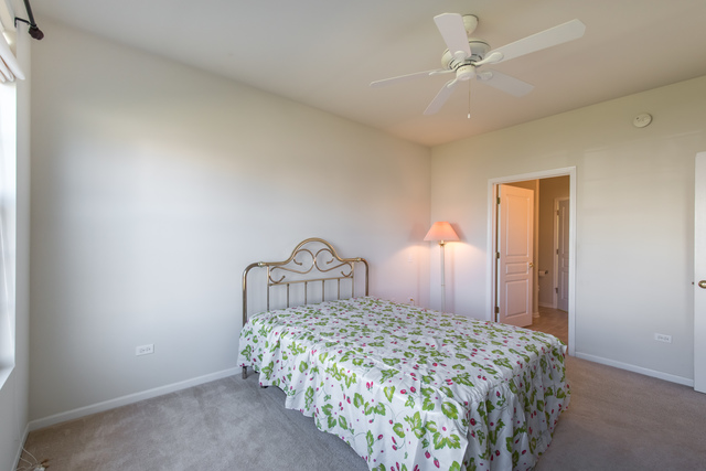 13302 Red Alder Ave, Huntley, IL 60142 photo 15