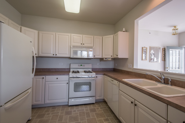 13302 Red Alder Ave, Huntley, IL 60142 photo 14