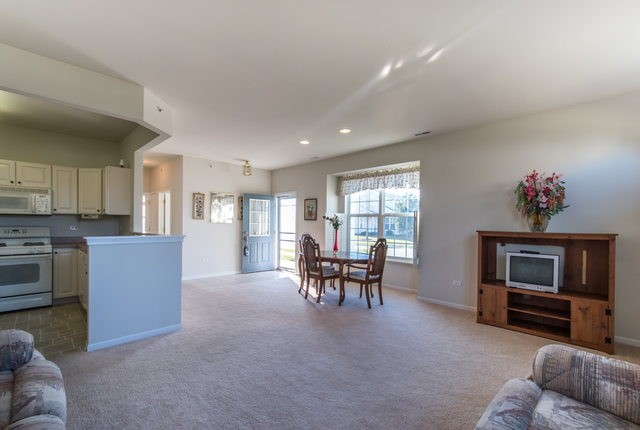 13302 Red Alder Ave, Huntley, IL 60142 photo 7