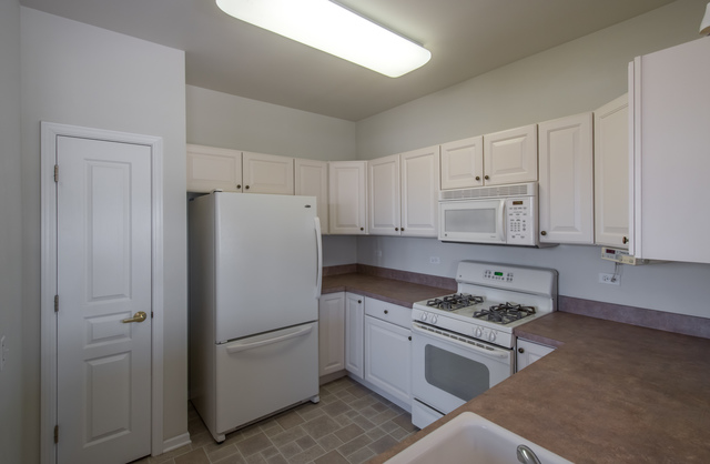13302 Red Alder Ave, Huntley, IL 60142 photo 11